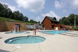 Pigeon Forge Cabin With Outdoor Pool Access